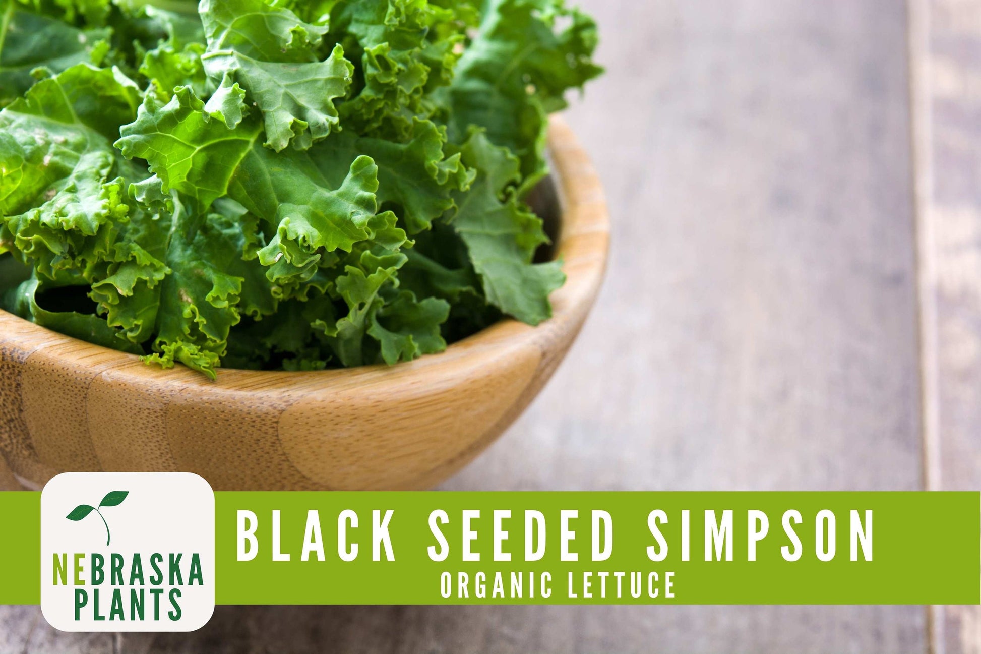 Organic Black Seeded Simpson Seeds - Nebraska Seeds