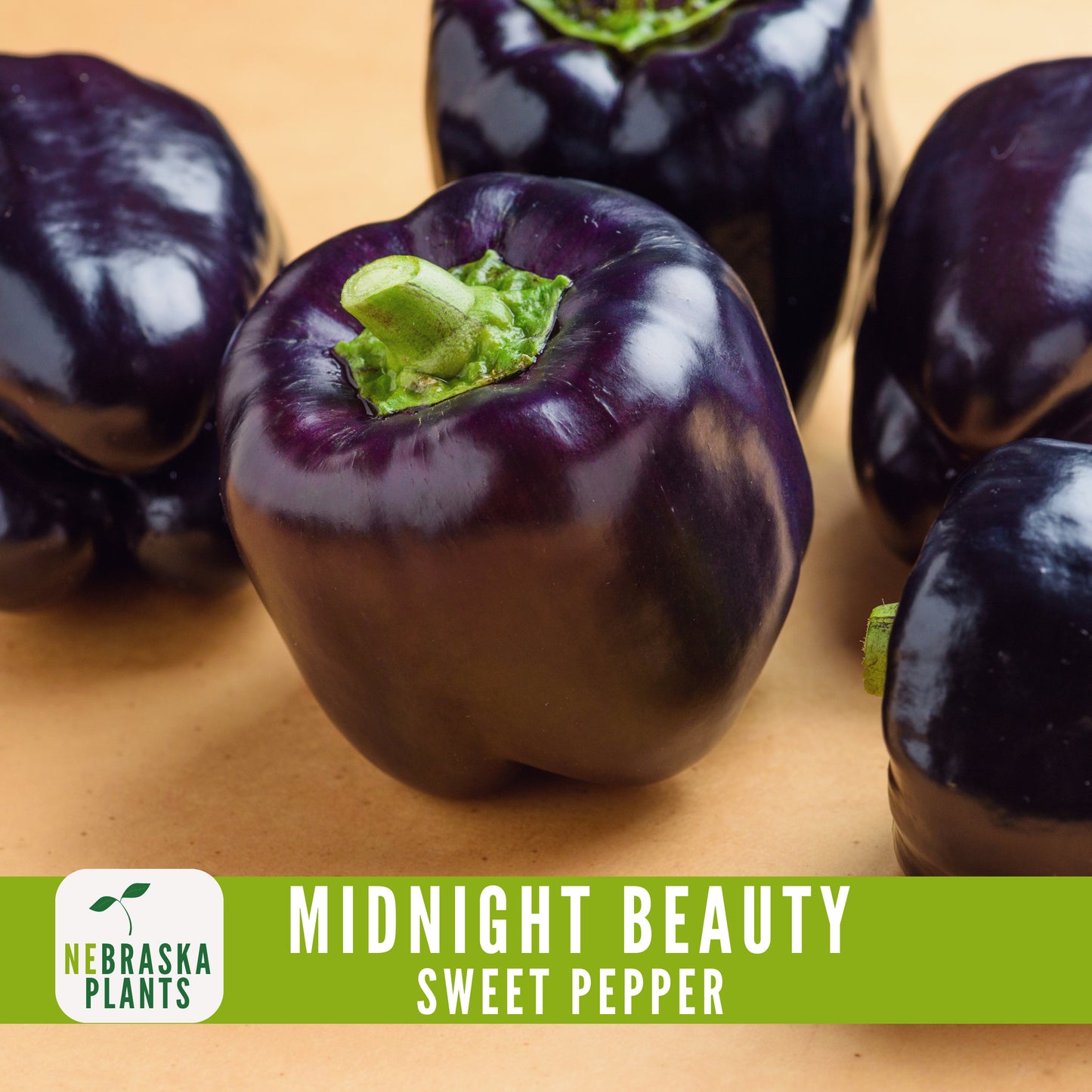 Midnight Beauty Bell Pepper - Nebraska Seeds