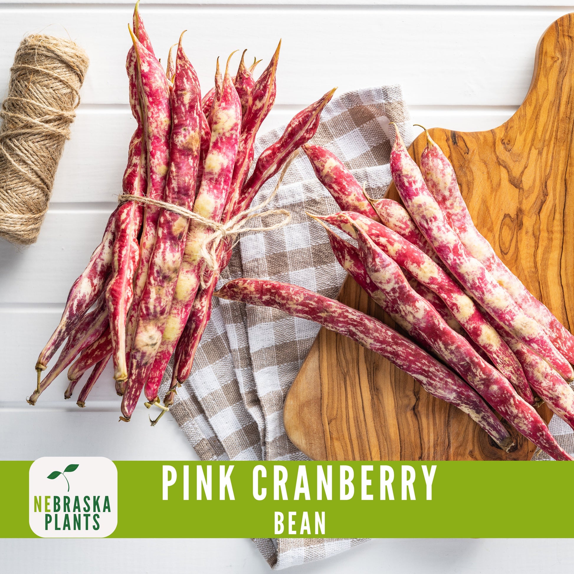 Pink Cranberry Bean Seeds - Nebraska Seeds