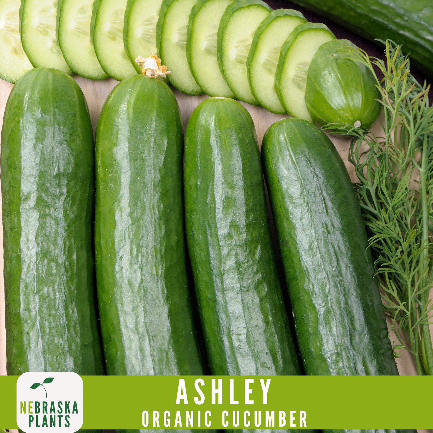 Organic Ashley Cucumber Seeds - Nebraska Seeds