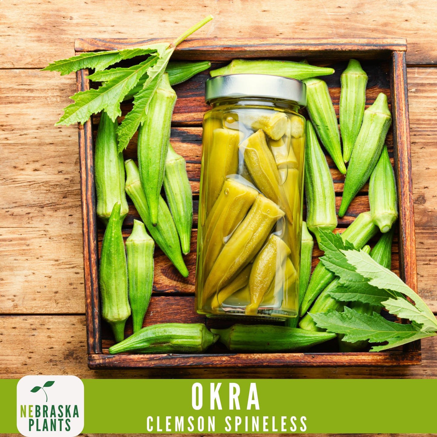 Clemson Spineless Okra Seed - Nebraska Seeds