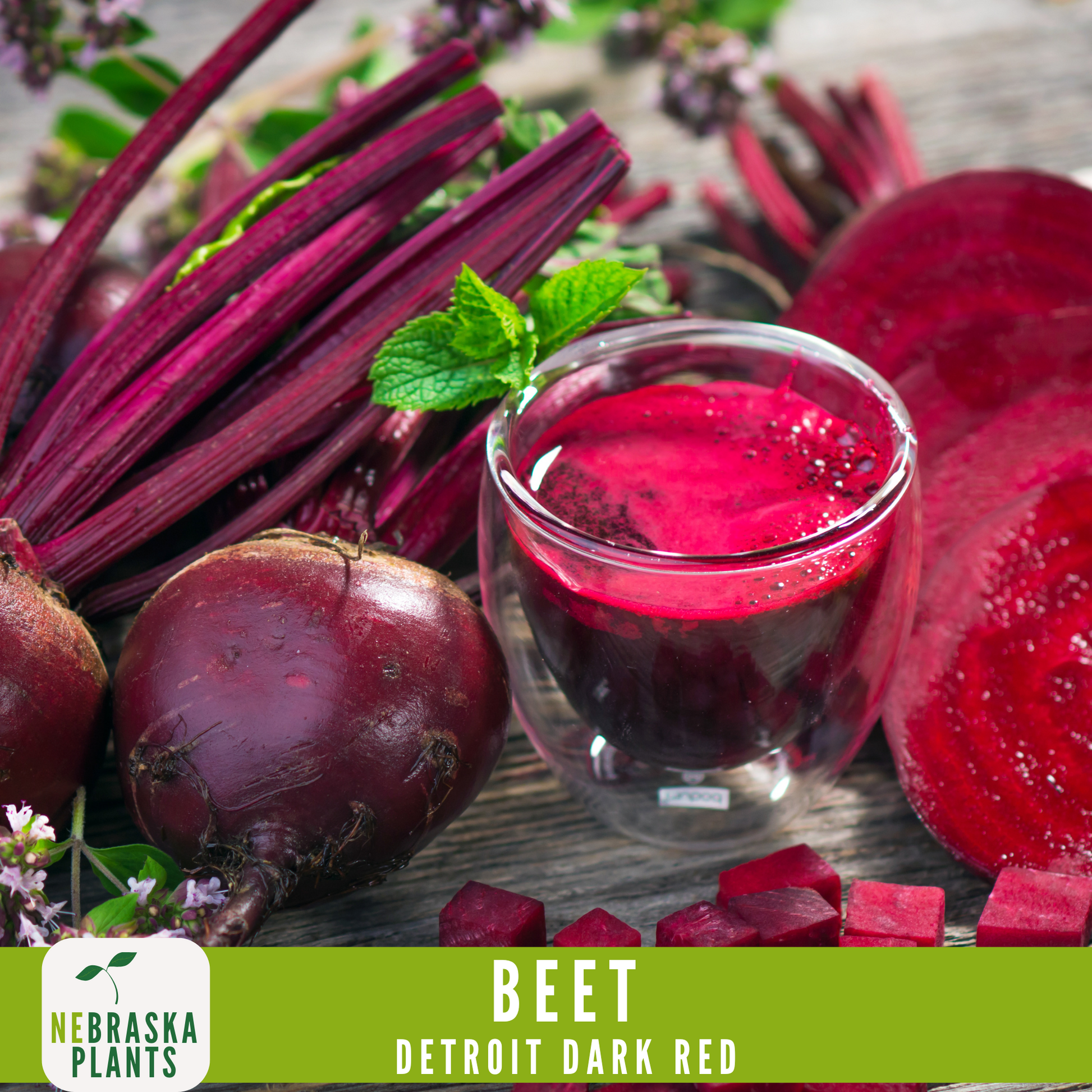Detroit Dark Red Beet Seeds - Nebraska Seeds