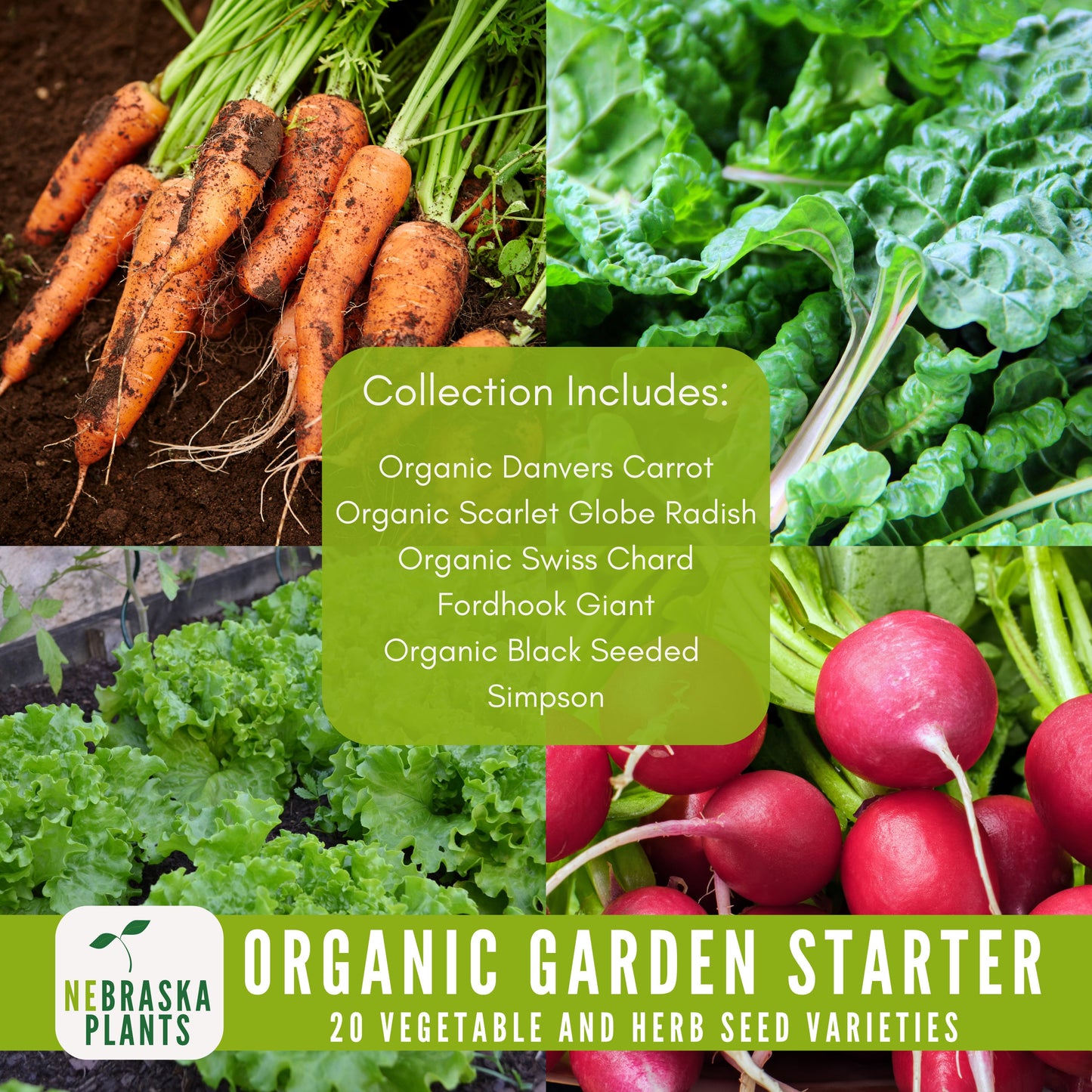 Organic Garden Starter Collection - 20 Organic Heirloom Vegetable and Herb Seeds - Nebraska Seeds