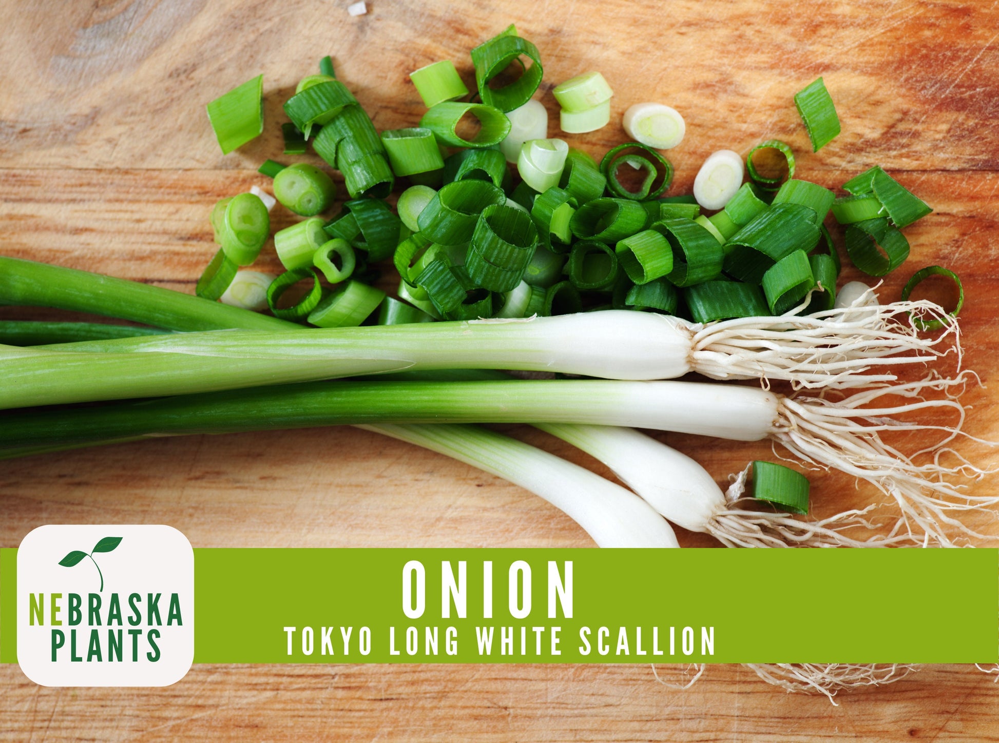 Scallion Seeds - Tokyo Long White Bunching Onion Heirloom Seeds - Nebraska Seeds