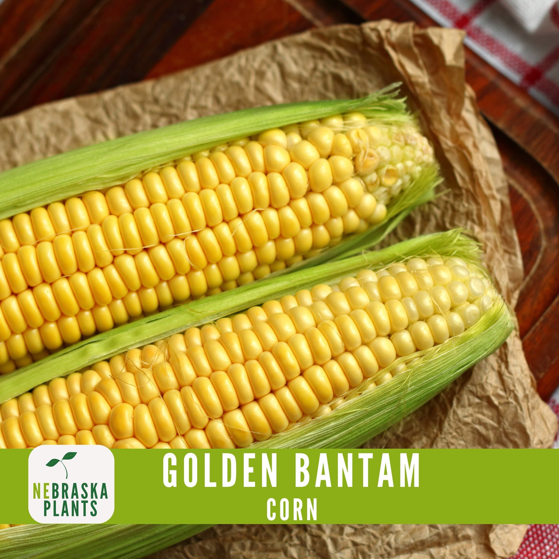 Golden Bantam Corn Seeds - Nebraska Seeds