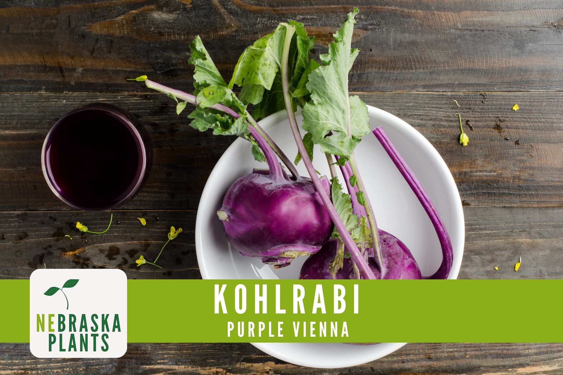 Organic Purple Vienna Kohlrabi Seeds - Nebraska Seeds