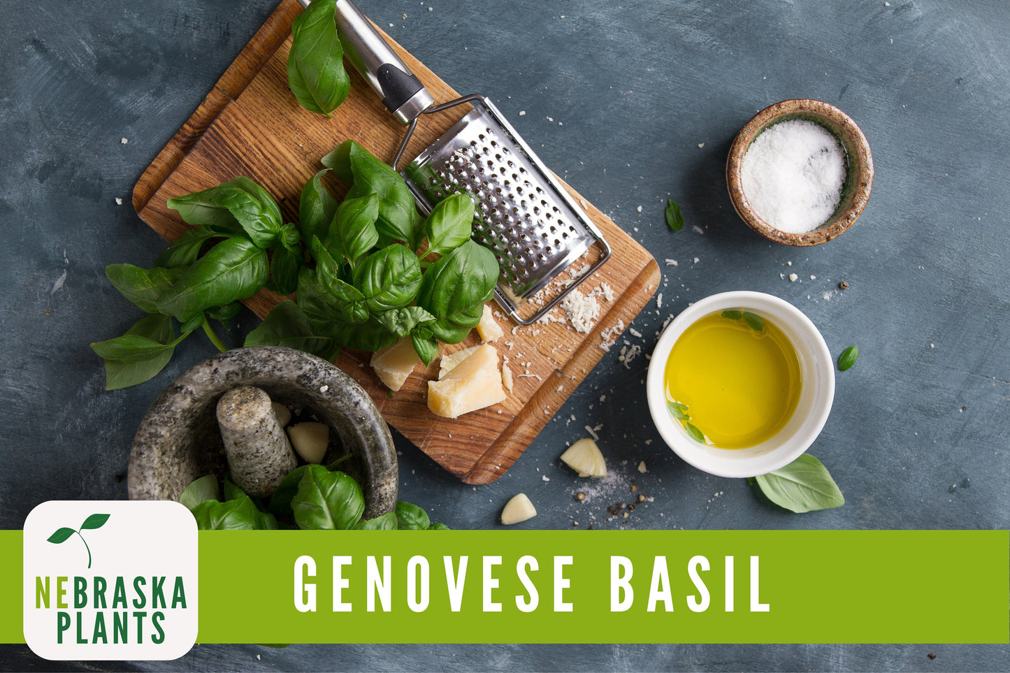 Genovese Basil Heirloom Seeds - Nebraska Seeds