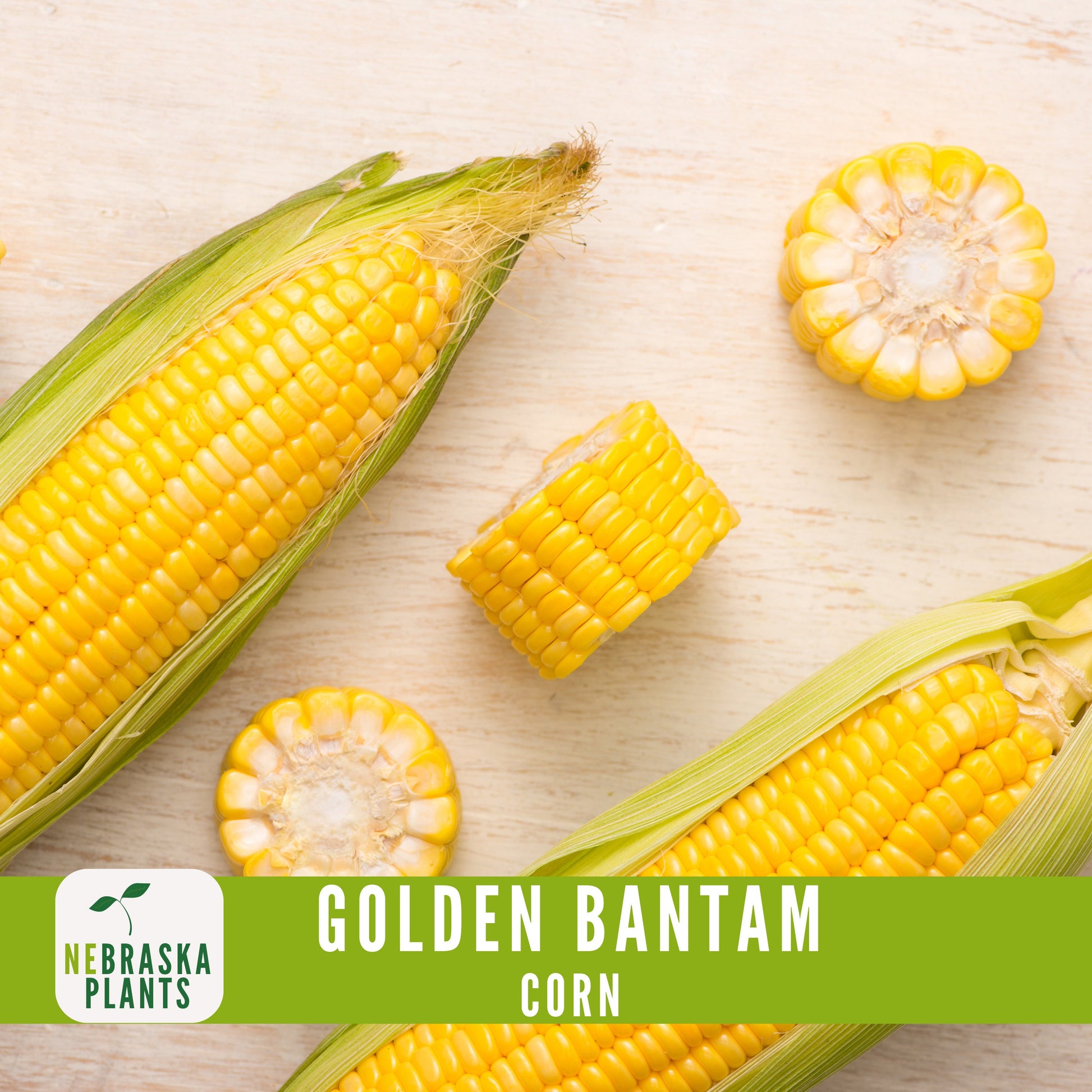 Golden Bantam Corn Seeds - Nebraska Seeds