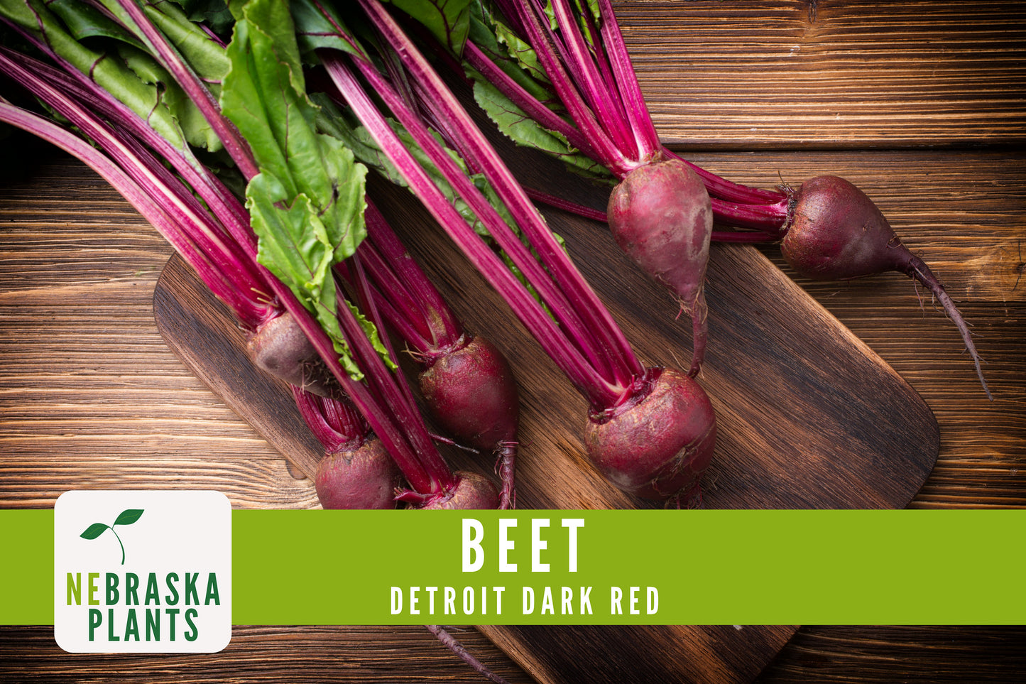 Detroit Dark Red Beet Seeds - Nebraska Seeds