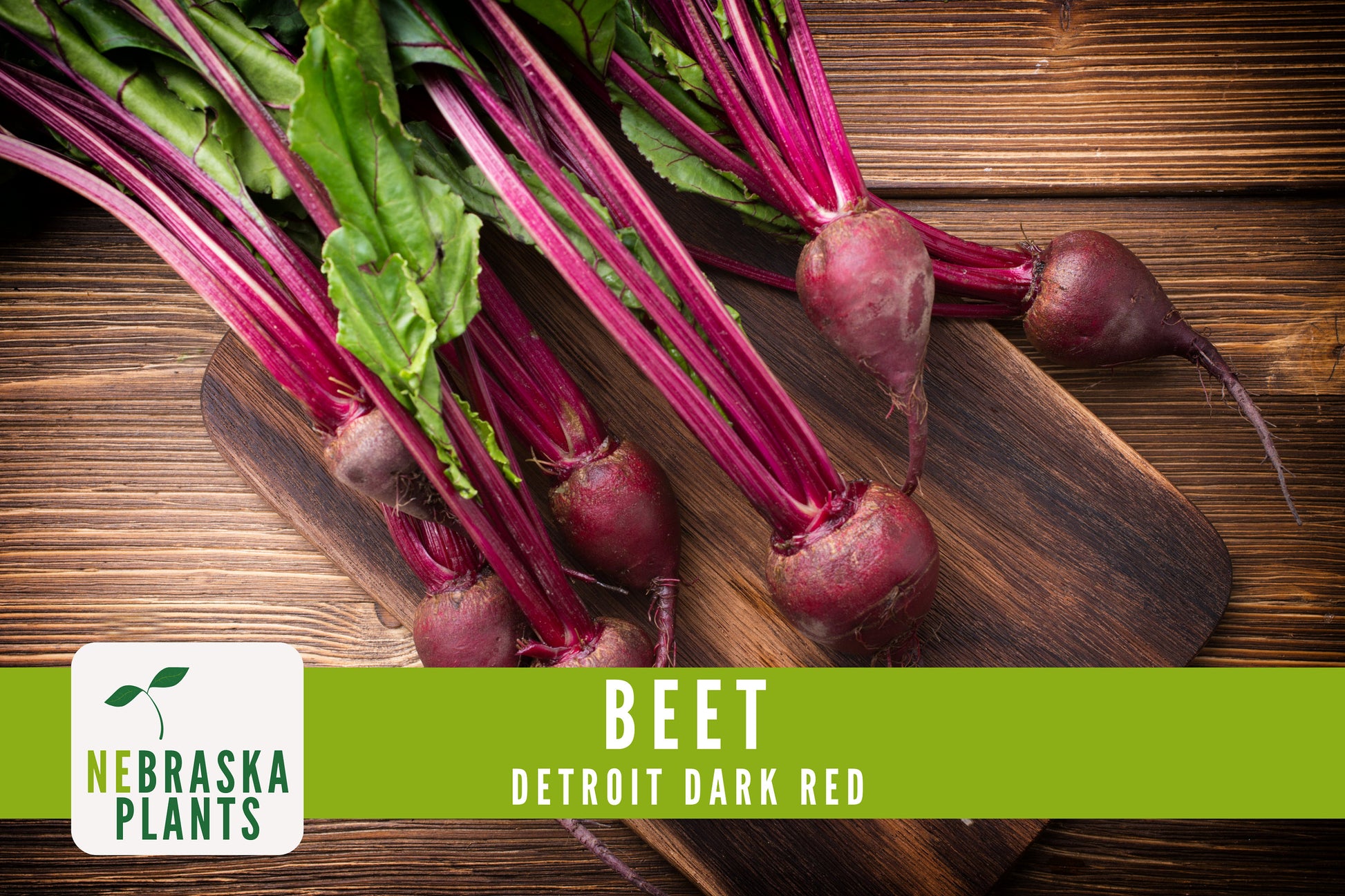 Detroit Dark Red Beet Seeds - Nebraska Seeds