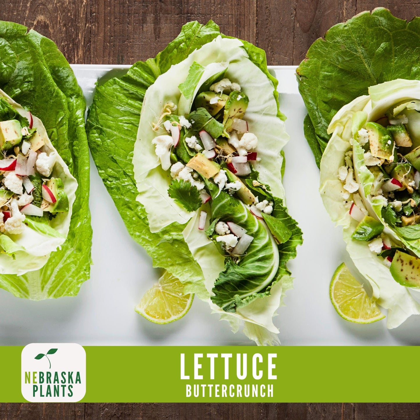 Buttercrunch Lettuce Seeds - Nebraska Seeds