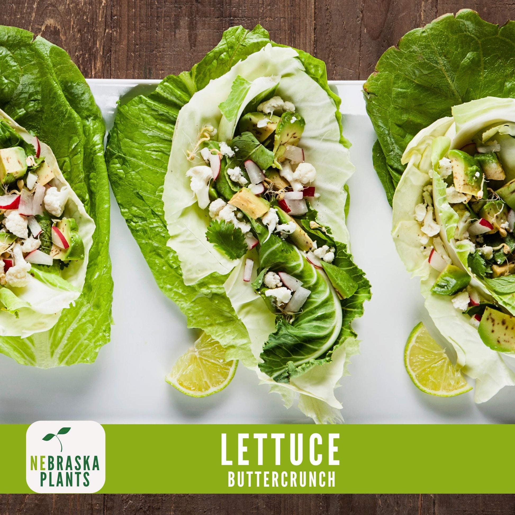 Buttercrunch Lettuce Seeds - Nebraska Seeds