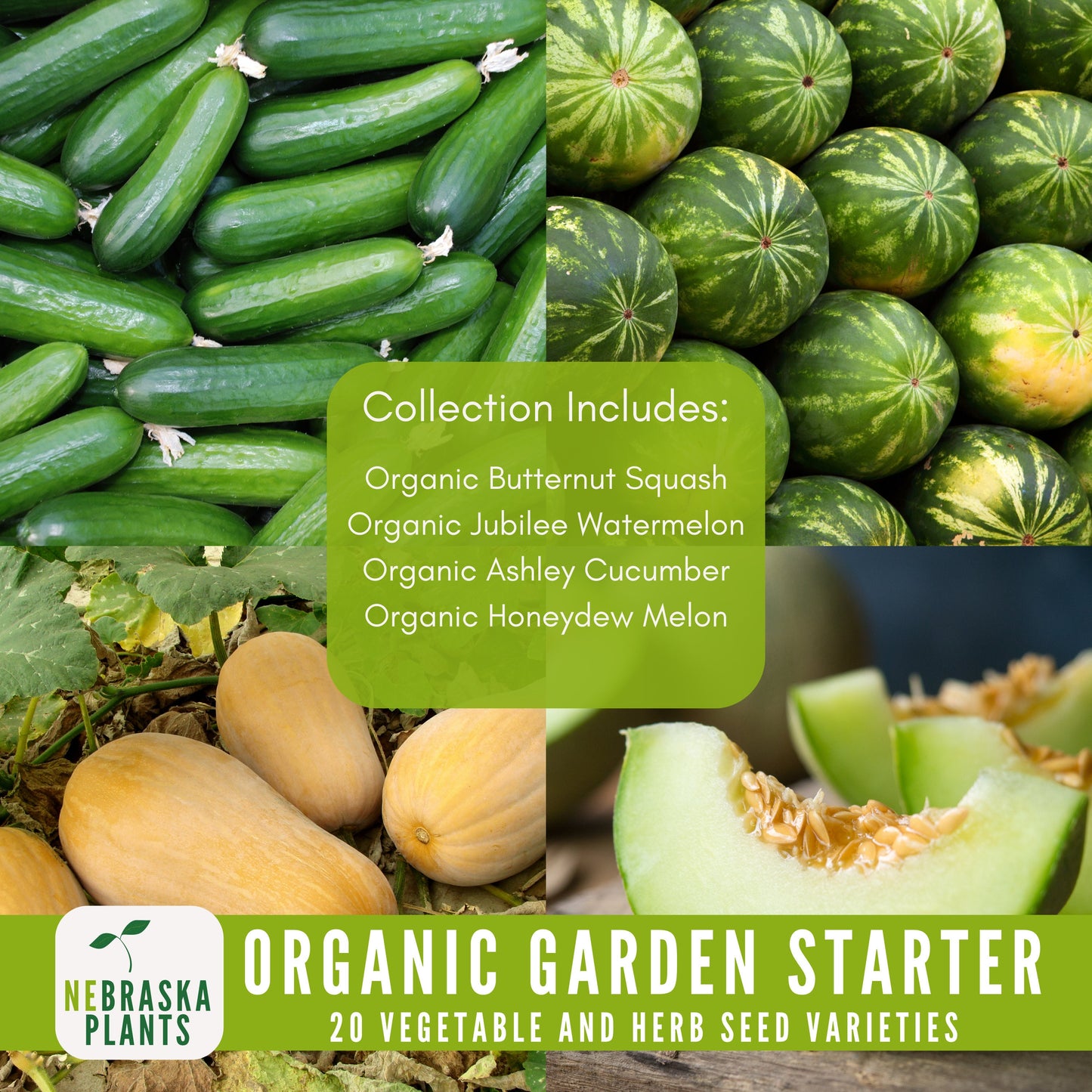 Organic Garden Starter Collection - 20 Organic Heirloom Vegetable and Herb Seeds - Nebraska Seeds