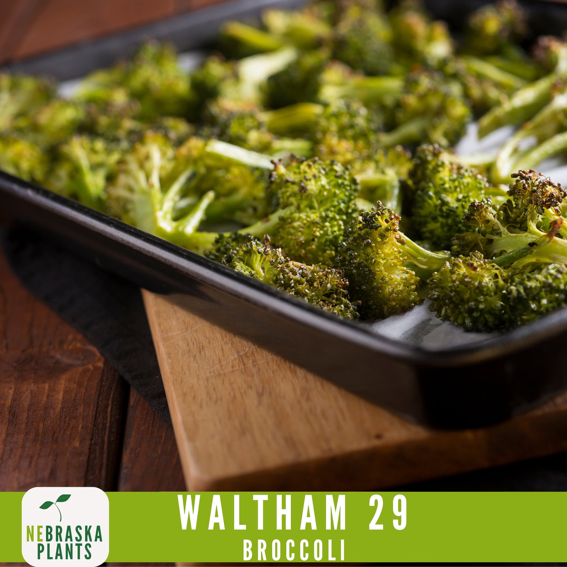 Waltham 29 Broccoli Seeds - Heirloom and Nutrient-Packed Garden Delight! - Nebraska Seeds