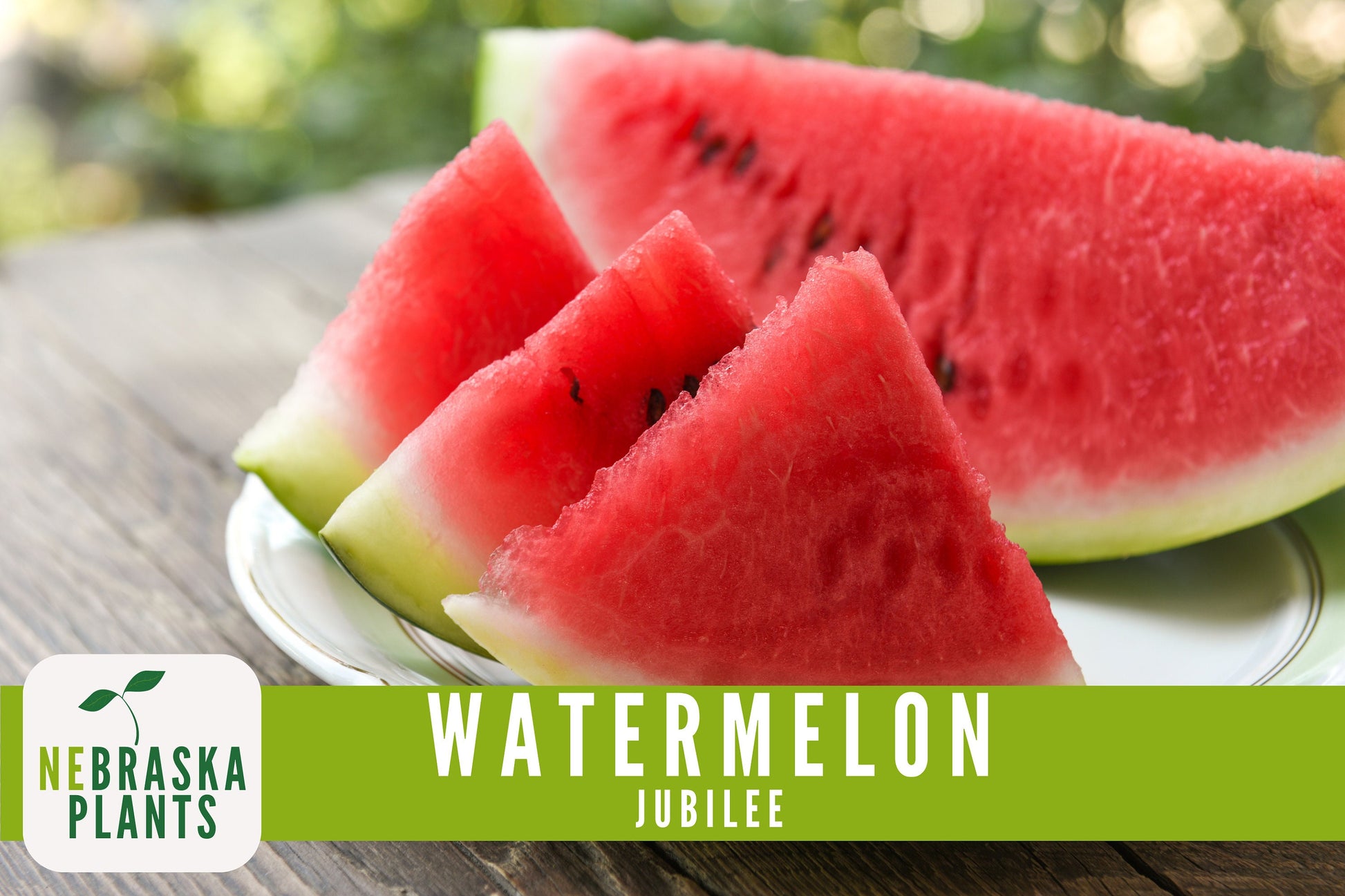 Watermelon Seeds - Jubilee Watermelon Heirloom Seeds - Nebraska Seeds