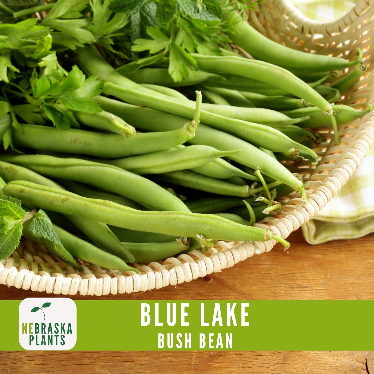 Blue Lake Bush Bean Seeds - Nebraska Seeds