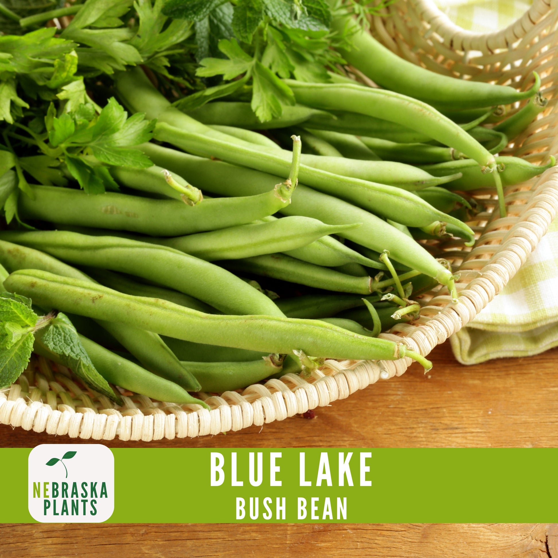 Blue Lake Bush Bean Seeds - Nebraska Seeds