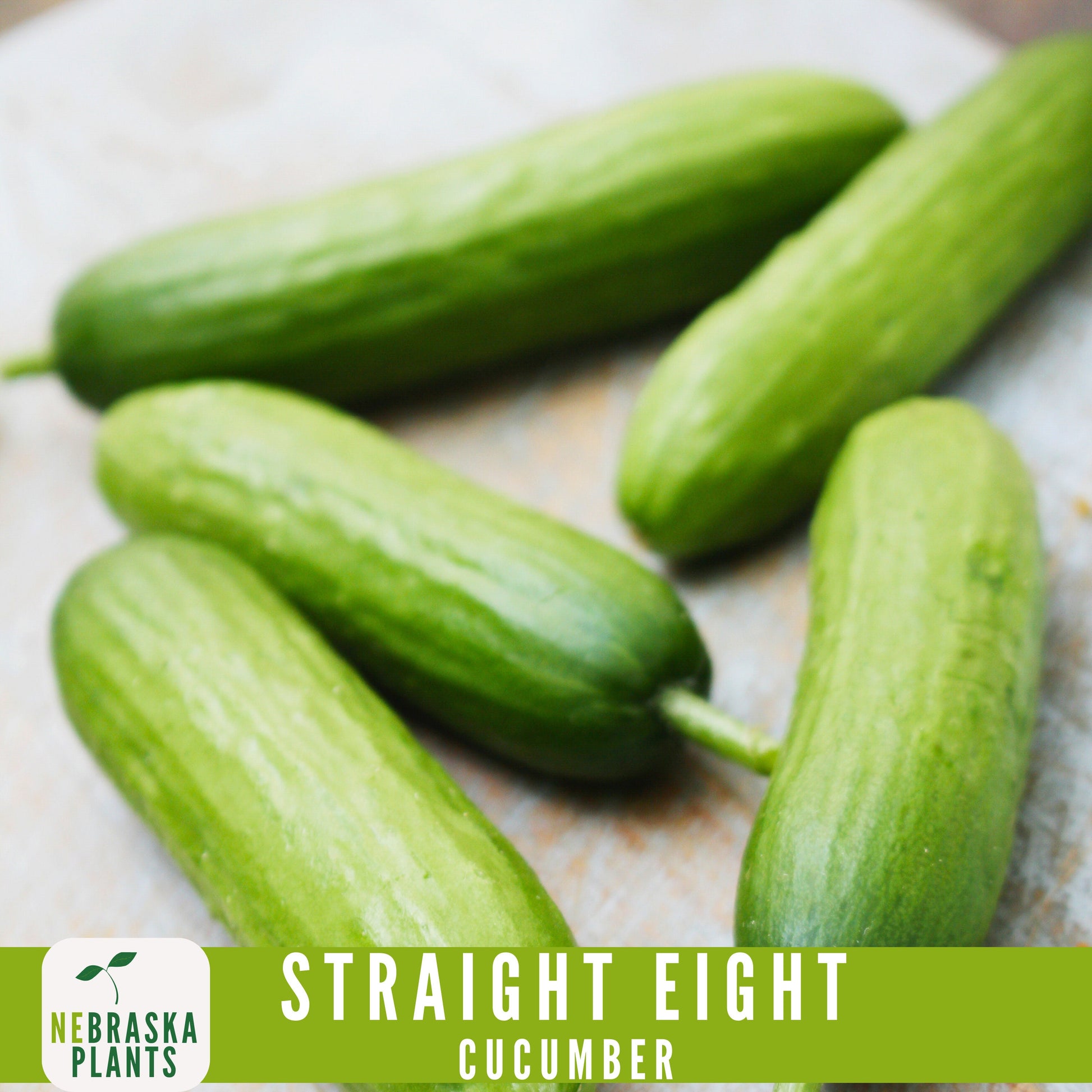 Straight Eight Cucumber Seeds - Crisp and Flavorful Heirloom Cucumbers for you Home Garden! - Nebraska Seeds