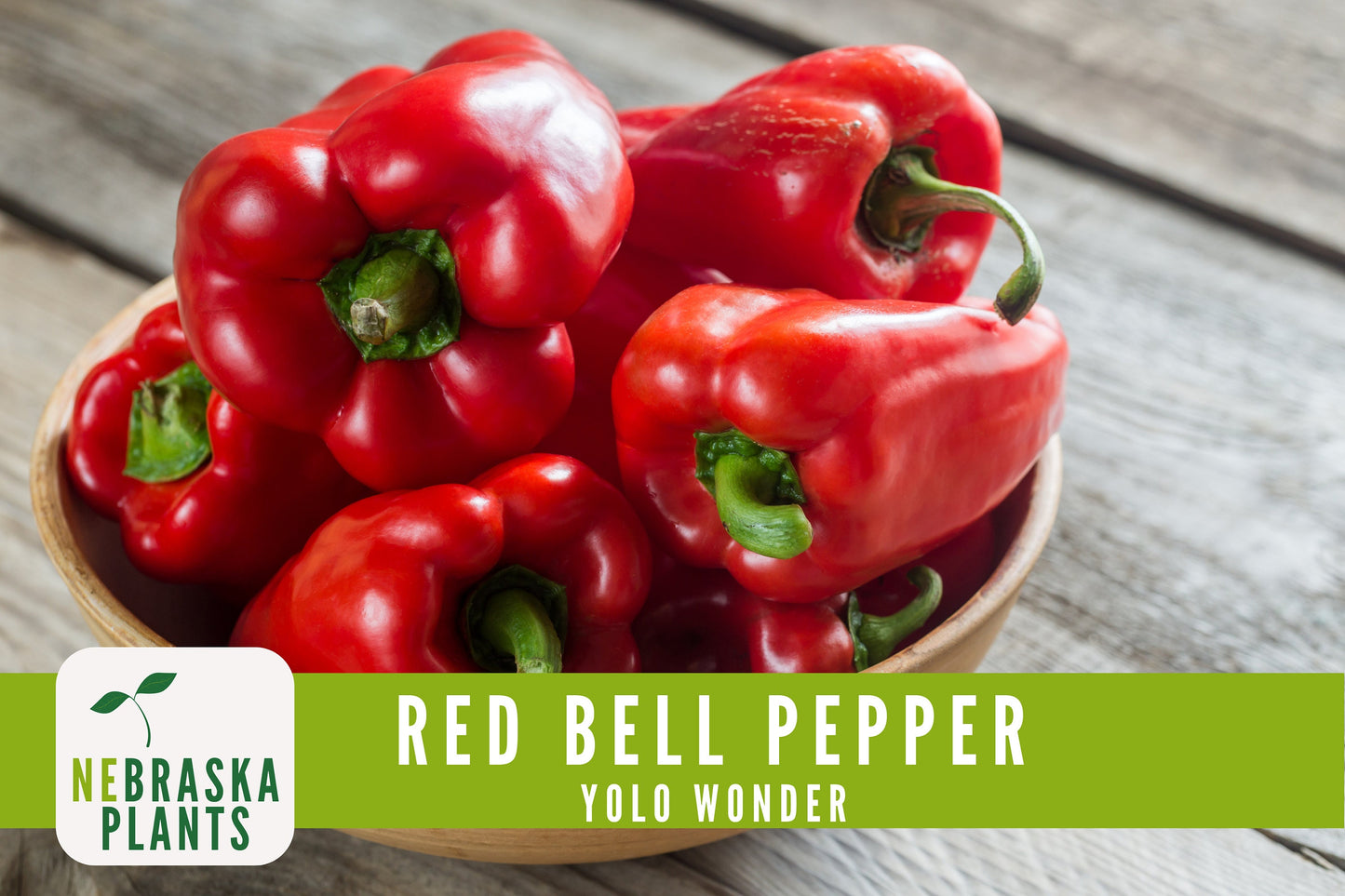 Red Bell Pepper Seeds - Yolo Wonder Heirloom Red Pepper Seeds - Nebraska Seeds