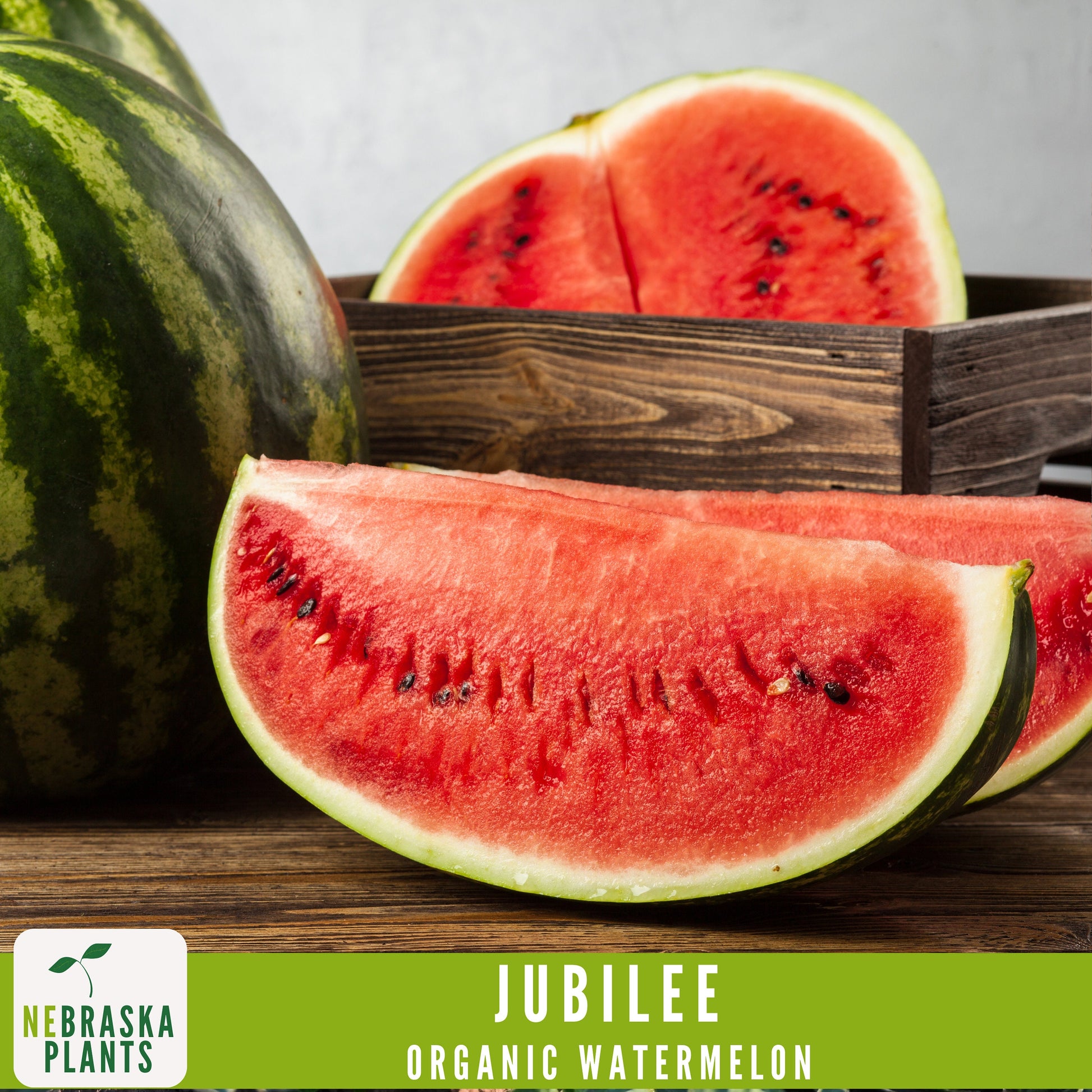 Organic Jubilee Heirloom Watermelon Seeds - Nebraska Seeds