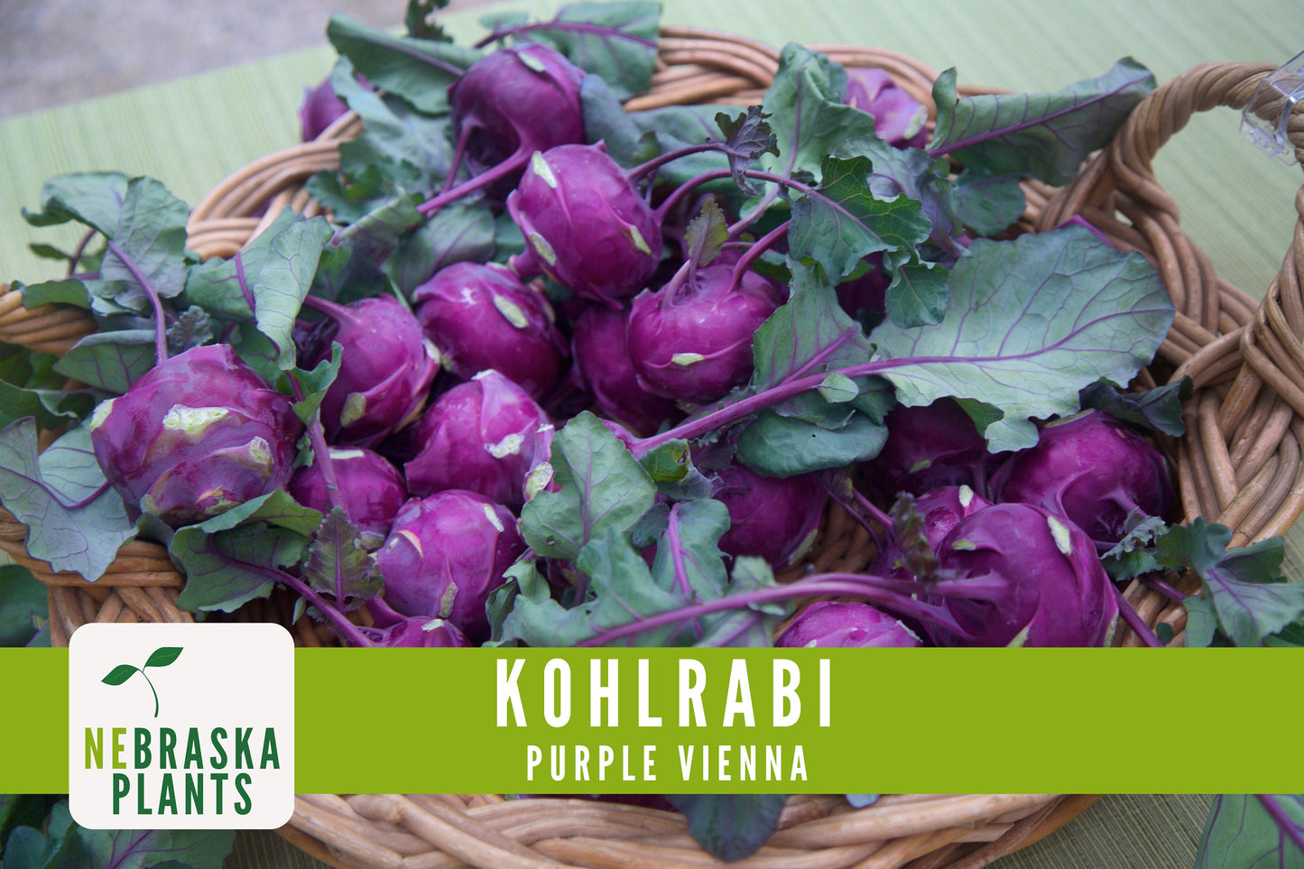 Organic Purple Vienna Kohlrabi Seeds - Nebraska Seeds