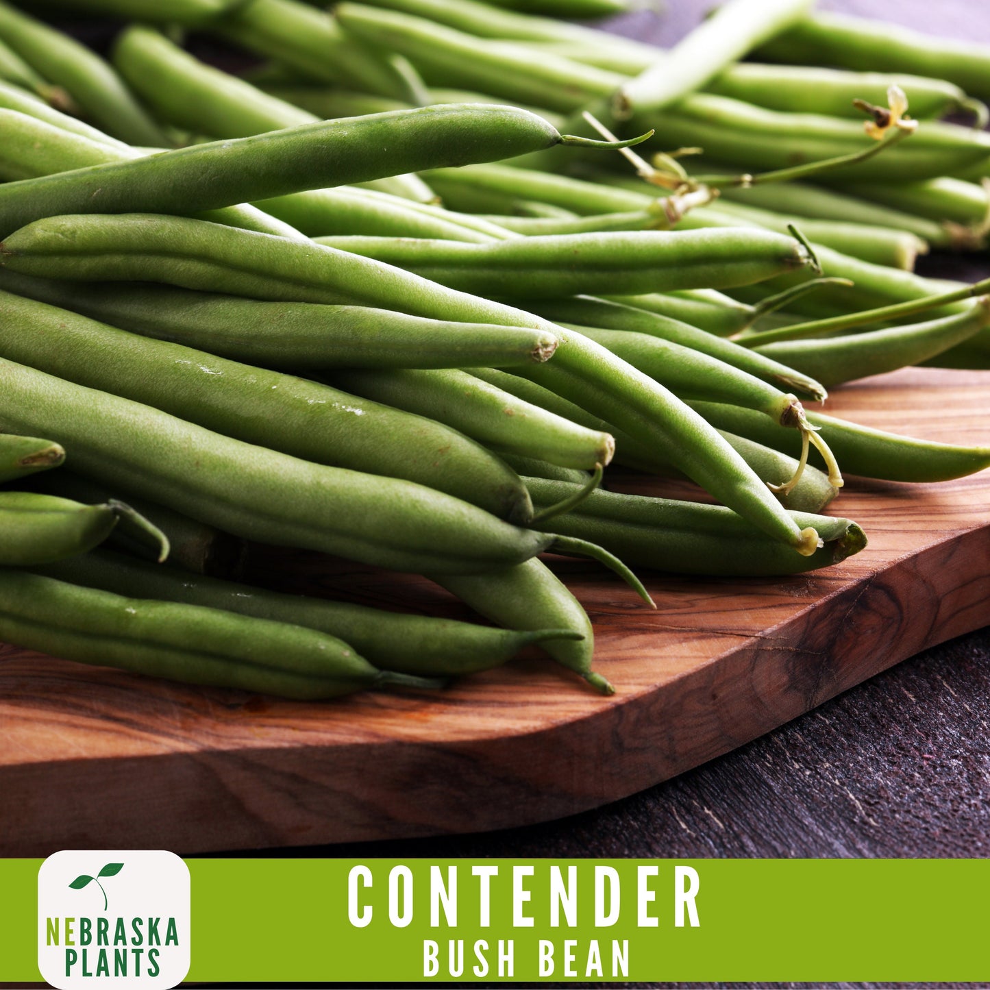 Contender Bush Bean Seeds - Nebraska Seeds