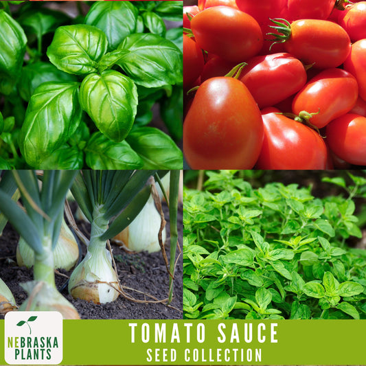 Pizza and Pasta Tomato Sauce Mix - Heirloom Seed Collection - Roma Tomato Seeds - Sweet Onion Seeds - Basil Seeds - Oregano Seeds - Nebraska Seeds