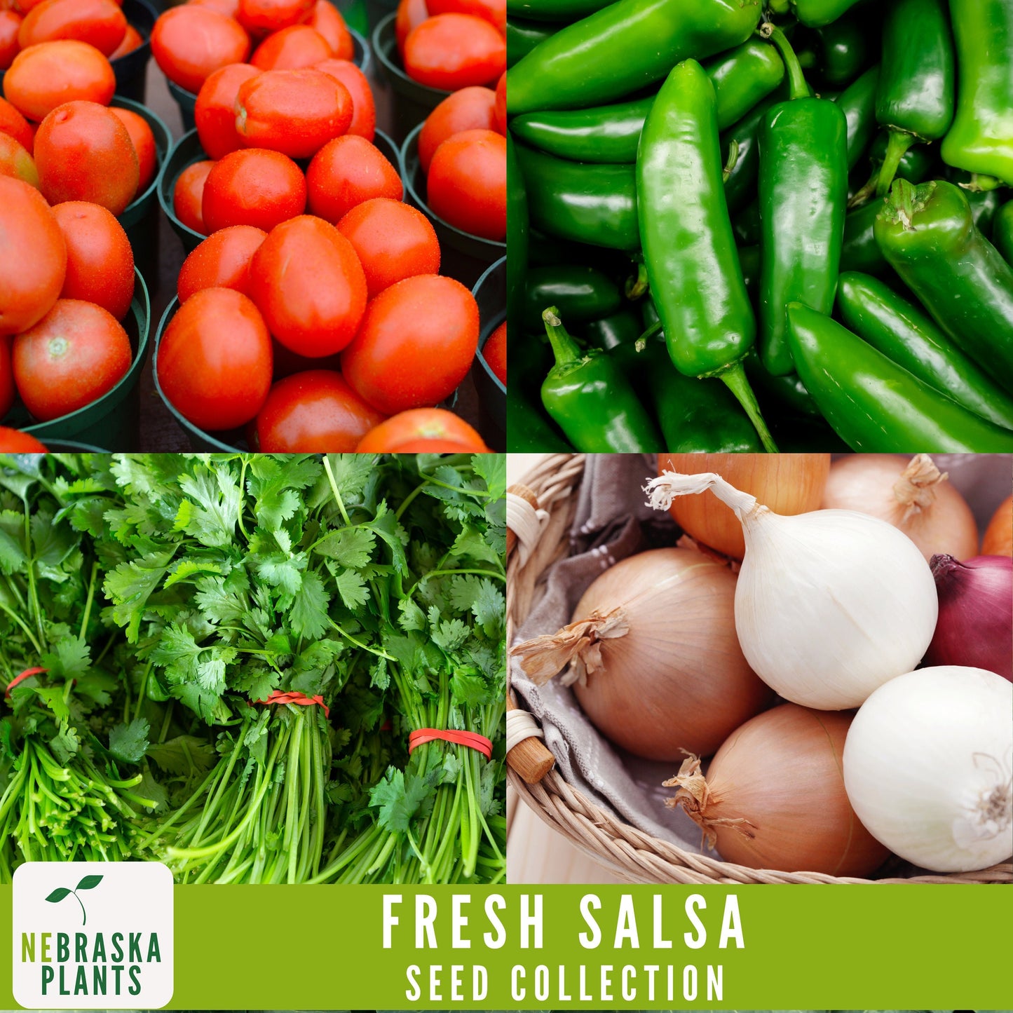 Garden Salsa Seed Collection - Heirloom Seeds for Making Salsa - Nebraska Seeds