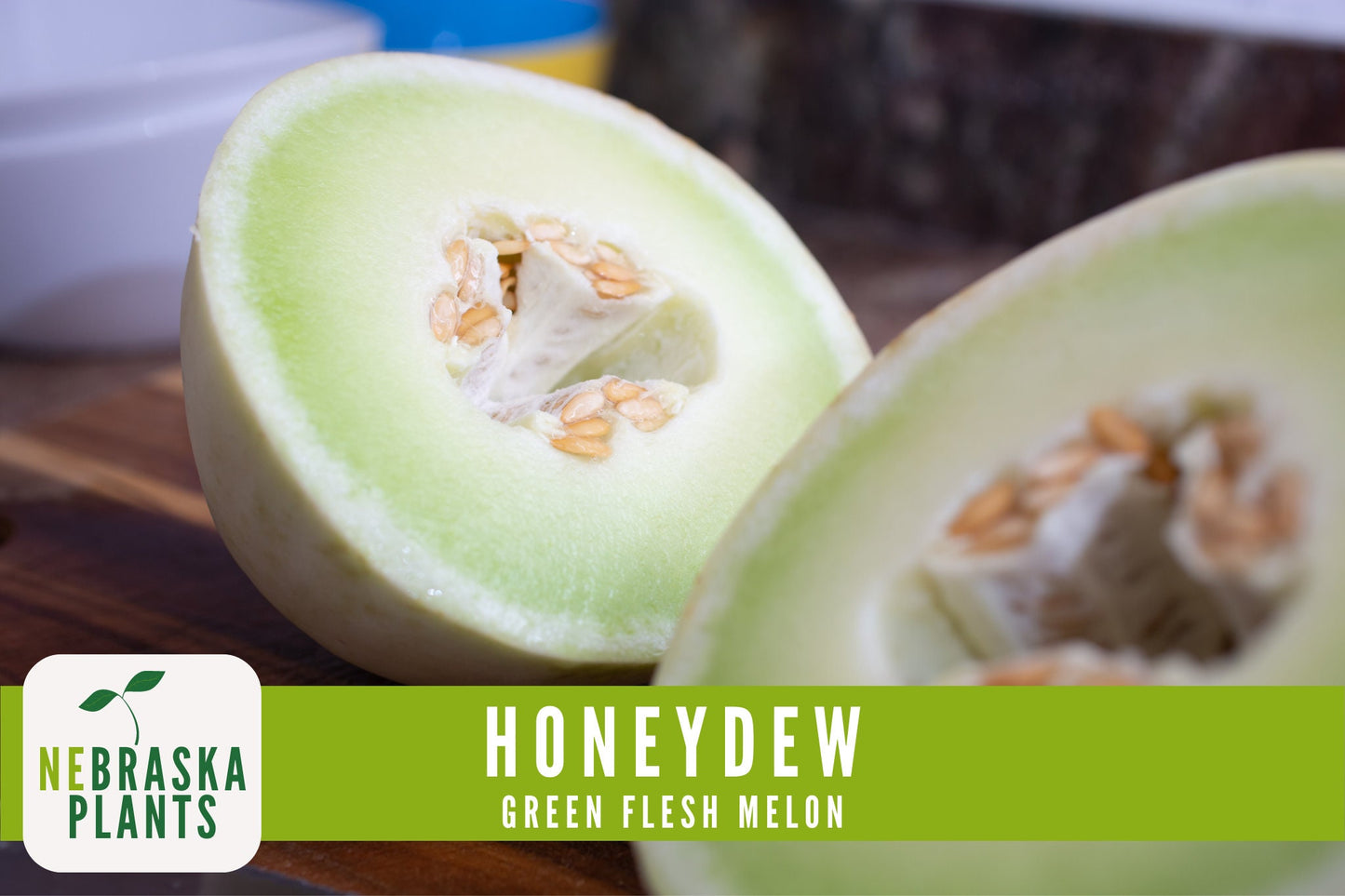 Green Honeydew Melon Seeds - Nebraska Seeds