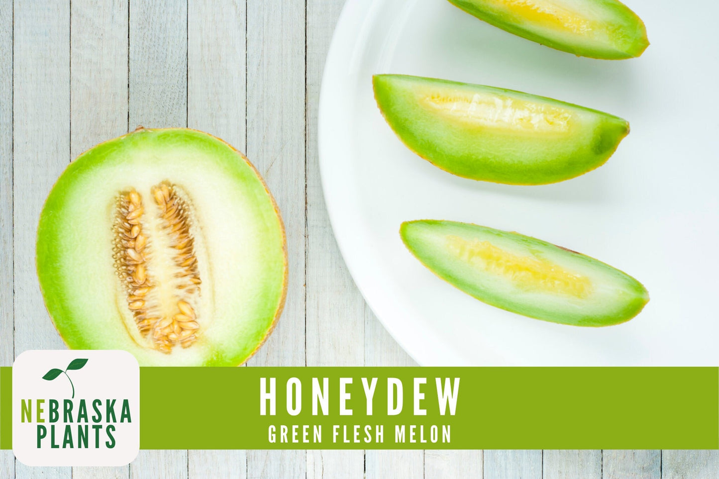 Green Honeydew Melon Seeds - Nebraska Seeds