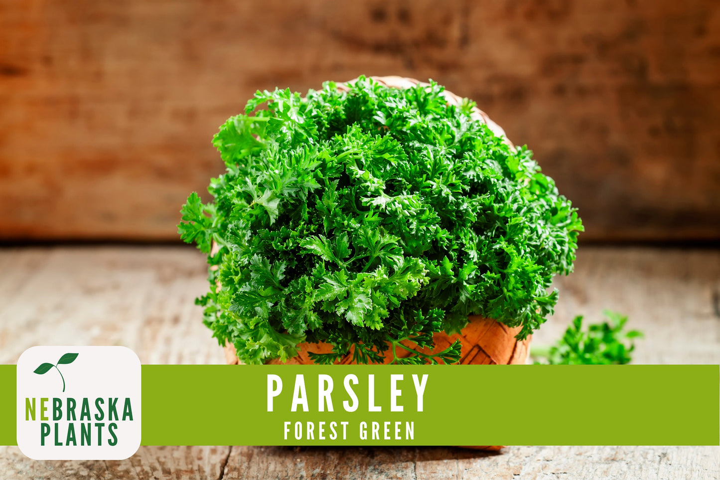 Forest Green Heirloom Parsley Seeds - Nebraska Seeds