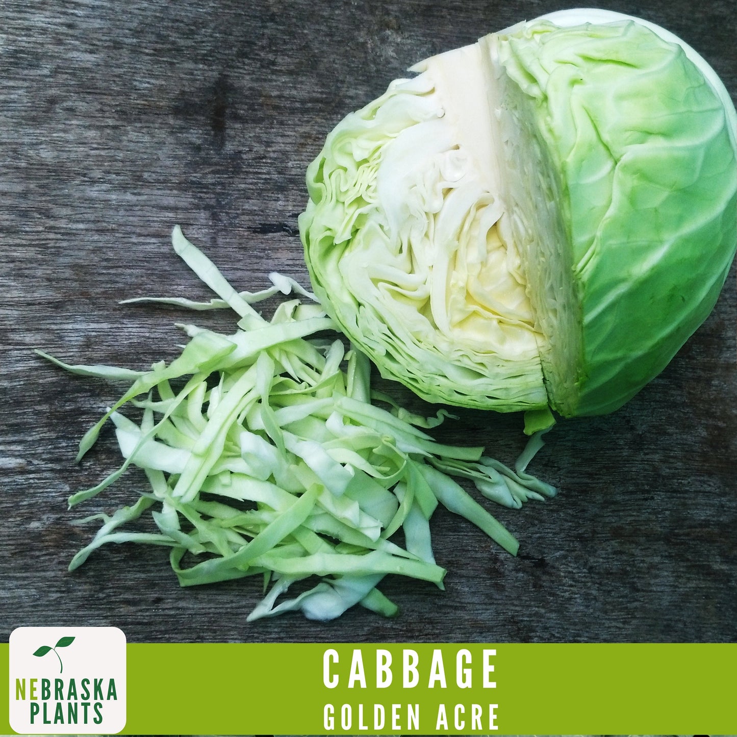 Golden Acre Cabbage Seeds - Nebraska Seeds