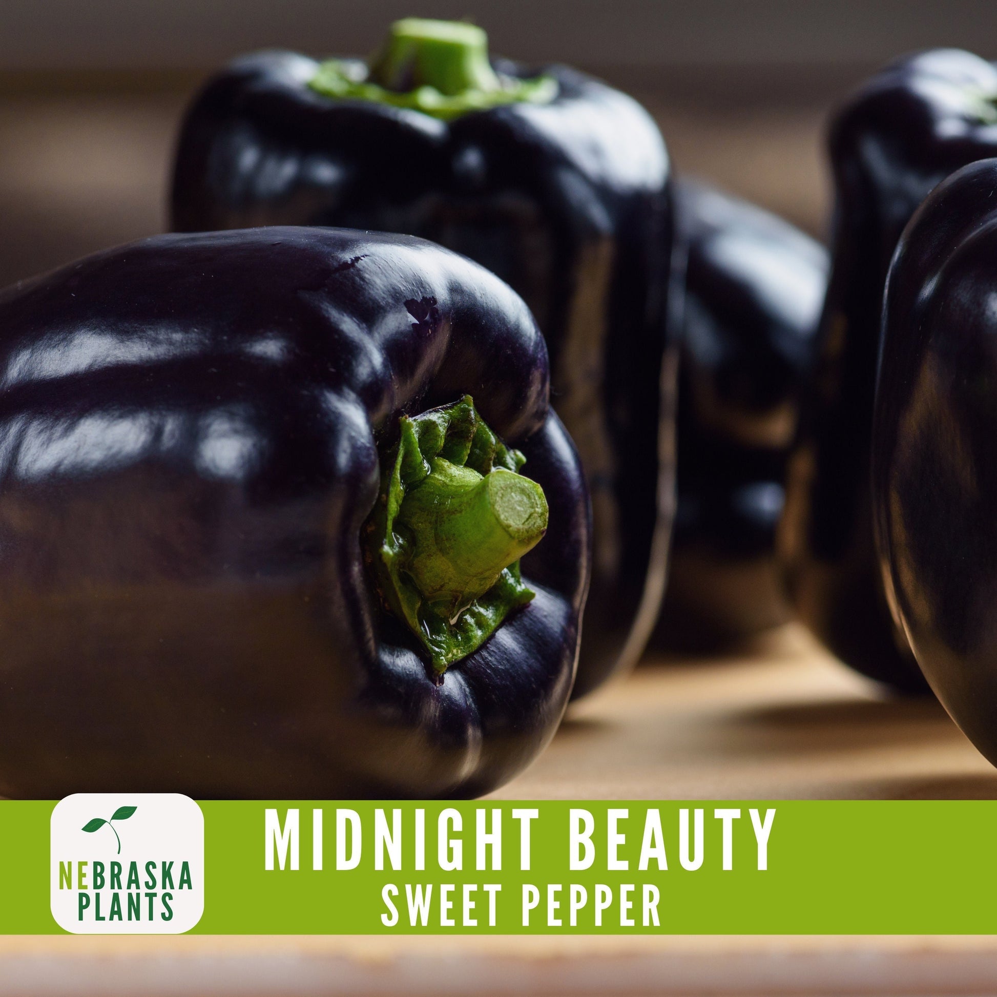 Midnight Beauty Bell Pepper - Nebraska Seeds