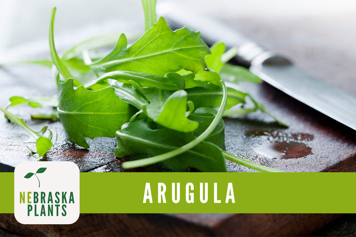 Roquette Arugula Seeds - Nebraska Seeds