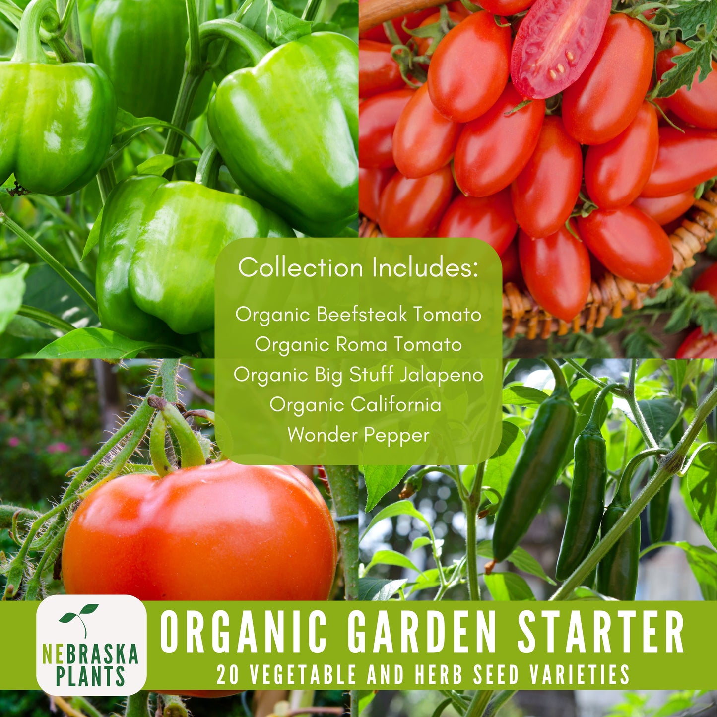 Organic Garden Starter Collection - 20 Organic Heirloom Vegetable and Herb Seeds - Nebraska Seeds