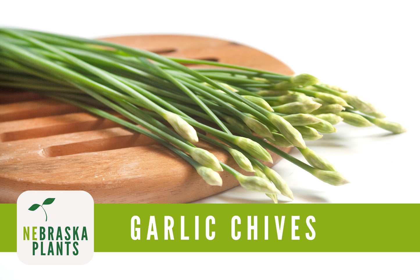 Garlic Chives Heirloom Seeds - Nebraska Seeds